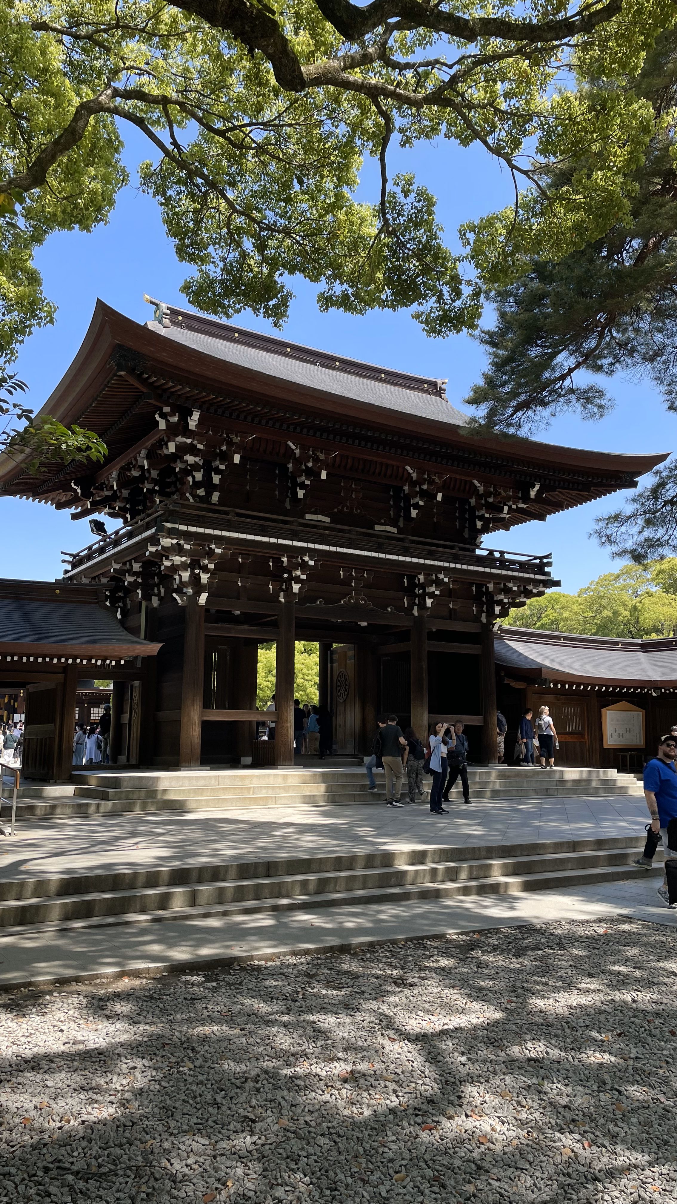 bssblocks image placeholder